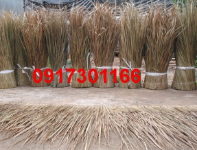 THATCH ROOFING